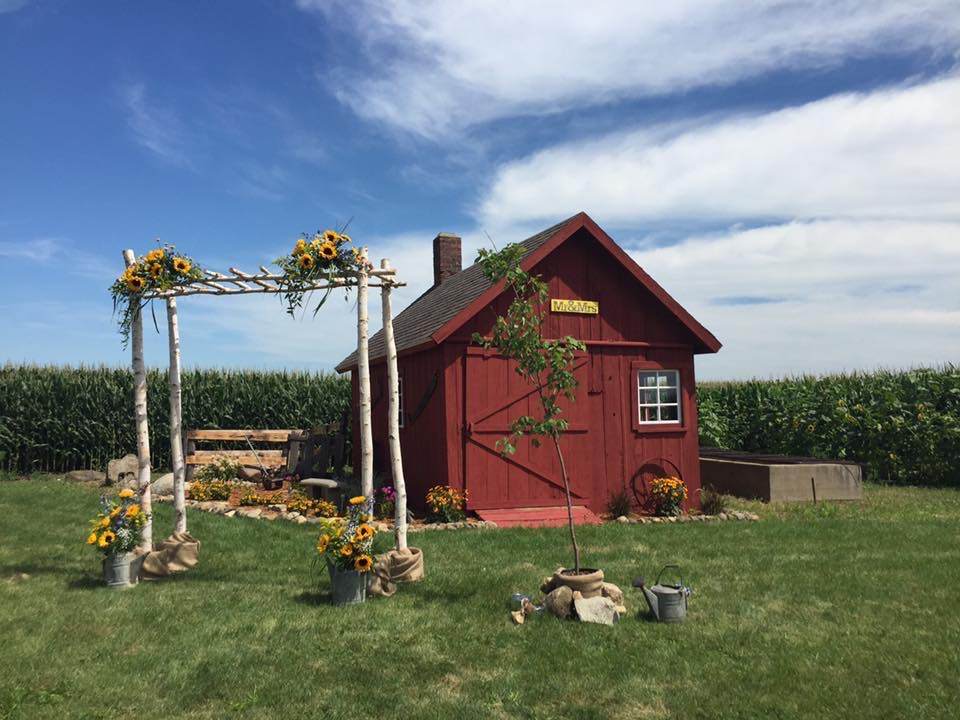 birch arch by red barn with sunflowers and cornfield